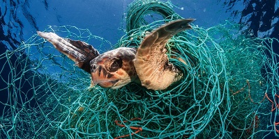 Why I gave up fish for the ocean | Ghost nets