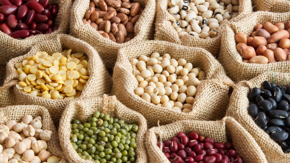 Beans, and legumes are healthy nutritious foods for vegan divers.