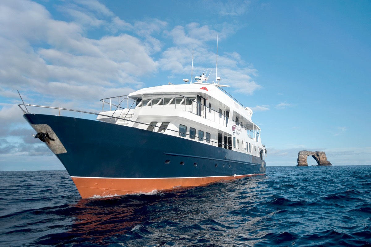 The Galapagos Master | Infinite Blue Dive Travel