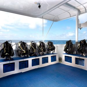 Galapgos Master | dive deck | Infinte Blue Dive Travel