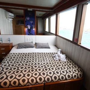 Humboldt Explorer cabin | Infinite Blue Dive Travel