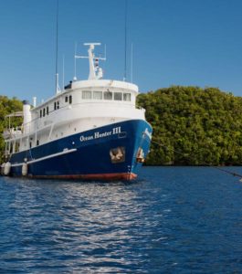 Ocean Hunter III | Dive Palau | Infinite Blue Dive Travel