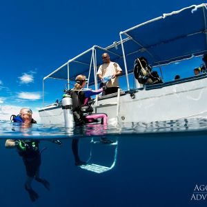 Rock Islands Aggressor | Dive tender | Dive Palau | Infinite Blue Dive Travel