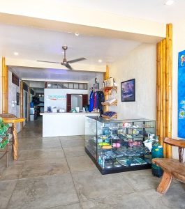Seaquest Bohol | Dive Center | Infinite Blue Dive Travel