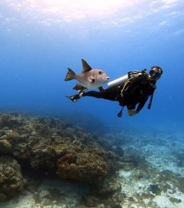 Scuba diver Cozumel | Mexico's top 10 diving destinations | Infinite Blue Dive Travel