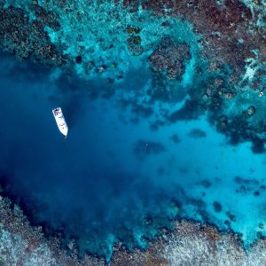 Vomo Fiji | Infinite Blue Dive Travel
