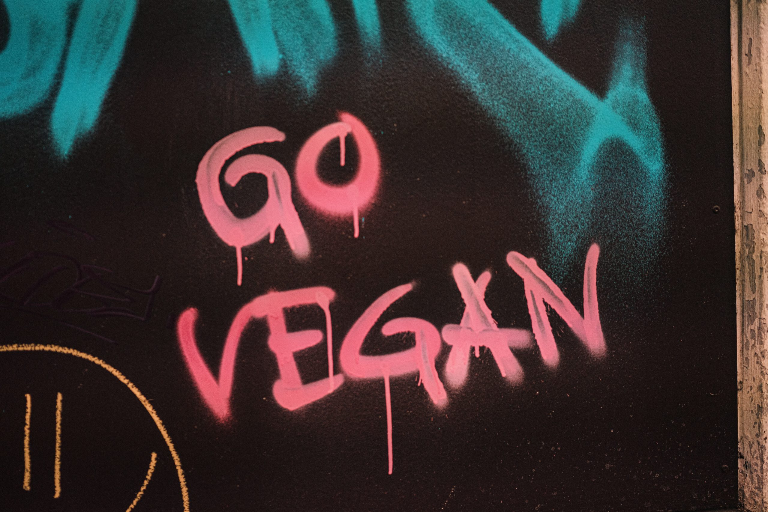 Go Vegan banner | Go Vegan