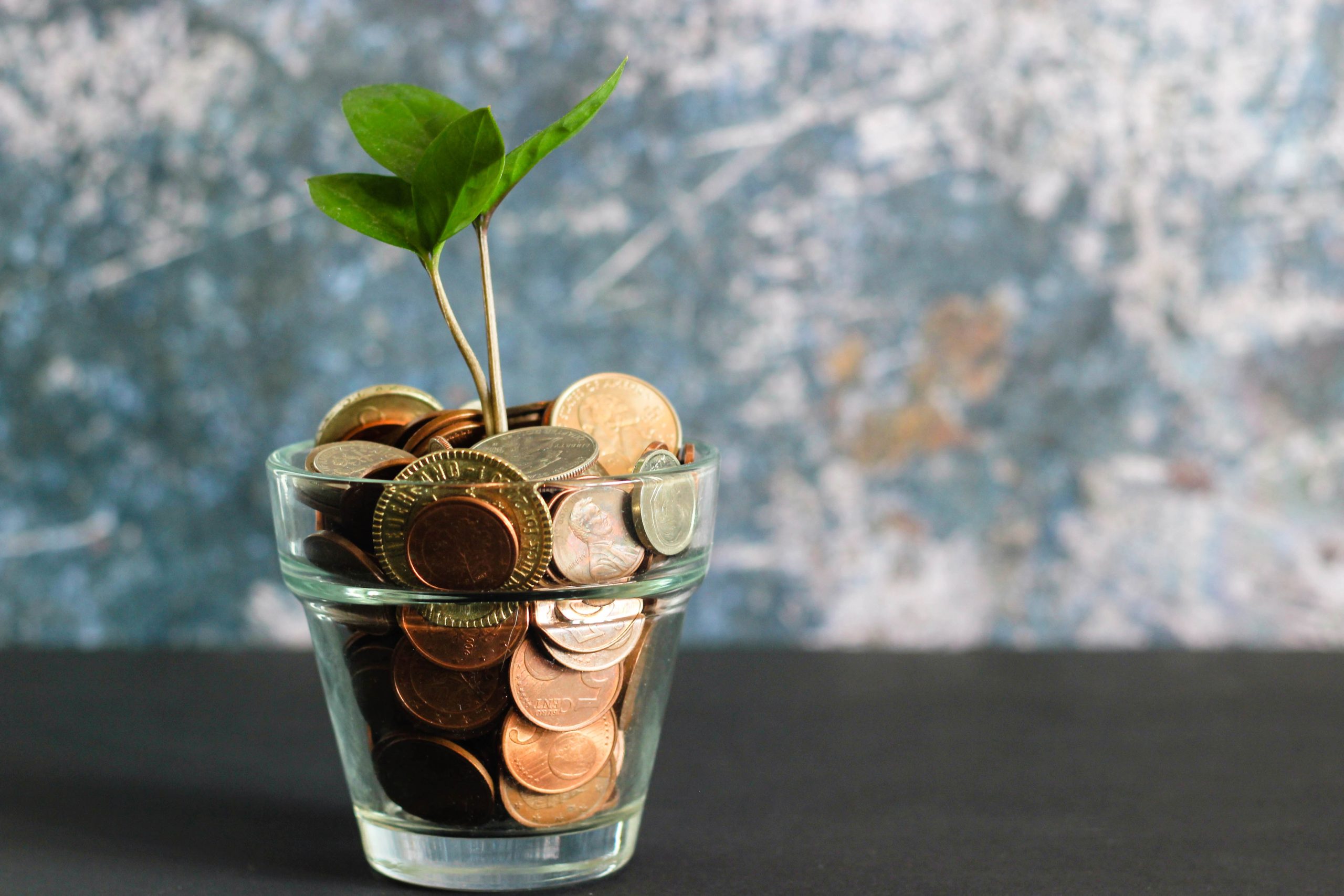 Money in a glass | Debunking common myths about veganism